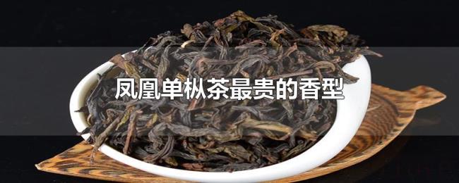 凤凰单枞茶最贵的香型 凤凰单枞茶最贵的香型