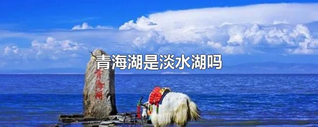 青海湖是淡水湖吗