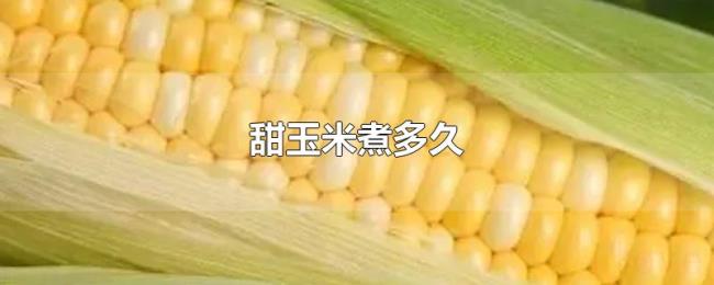 甜玉米煮多久