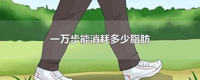 一万步能消耗多少脂肪