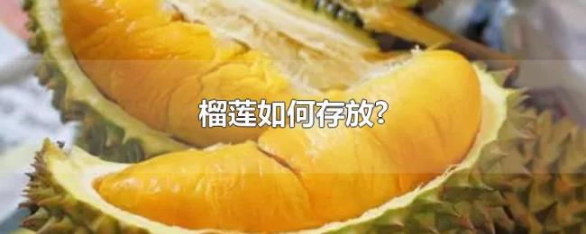 榴莲如何存放? 榴莲如何存放?