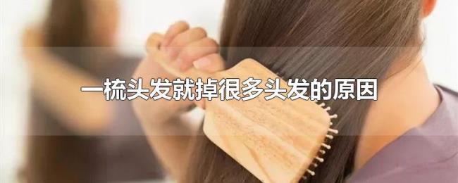 一梳头发就掉很多头发的原因 一梳头发就掉很多头发的原因