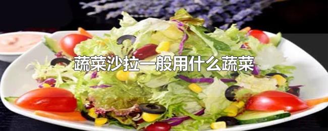 蔬菜沙拉一般用什么蔬菜