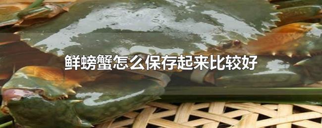 鲜螃蟹怎么保存起来比较好 鲜螃蟹怎么保存起来比较好