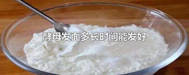 酵母发面多长时间能发好
