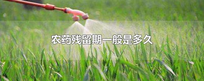 农药残留期一般是多久