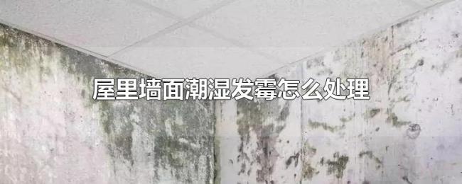 屋里墙面潮湿发霉怎么处理