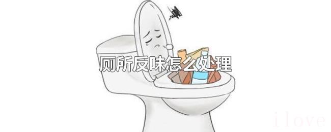 厕所反味怎么处理 厕所反味怎么处理