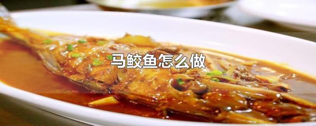马鲛鱼怎么做