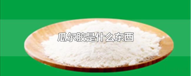 瓜尔胶是什么东西
