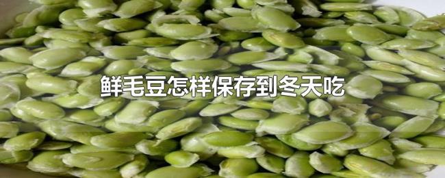 鲜毛豆怎样保存到冬天吃 鲜毛豆怎样保存到冬天吃