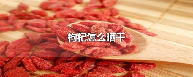 枸杞怎么晒干 枸杞怎么晒干