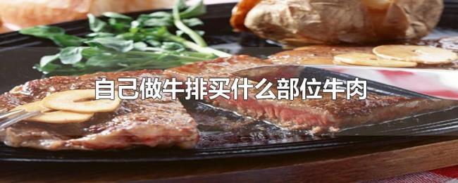 自己做牛排买什么部位牛肉