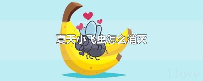 夏天小飞虫怎么消灭