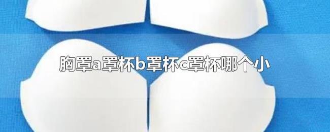 胸罩a罩杯b罩杯c罩杯哪个小 胸罩a罩杯b罩杯c罩杯哪个小