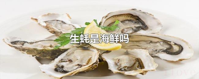 生蚝是海鲜吗 生蚝是海鲜吗