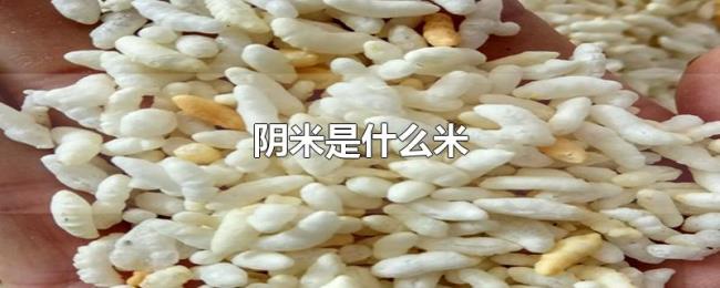 阴米是什么米 阴米是什么米