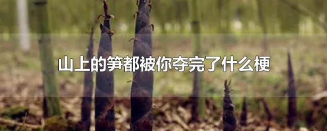 山上的笋都被你夺完了什么梗 山上的笋都被你夺完了什么梗
