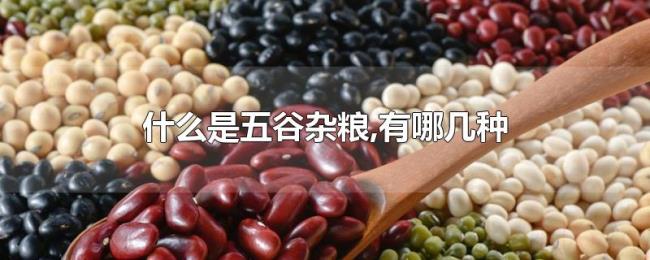 什么是五谷杂粮,有哪几种 什么是五谷杂粮,有哪几种