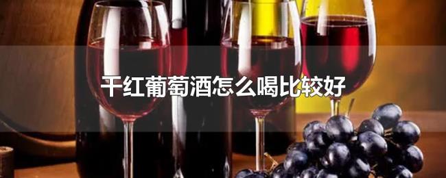 干红葡萄酒怎么喝比较好