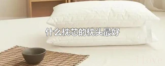 什么枕芯的枕头最好 什么枕芯的枕头最好