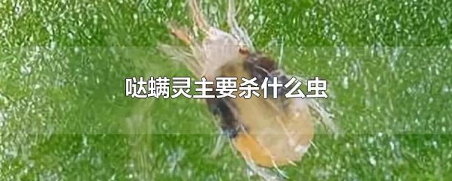 哒螨灵主要杀什么虫 哒螨灵主要杀什么虫