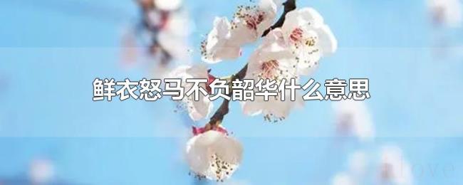 鲜衣怒马不负韶华什么意思 鲜衣怒马不负韶华什么意思