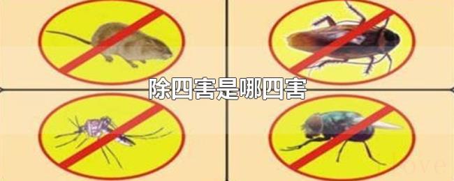 除四害是哪四害