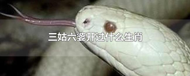 三姑六婆开过什么生肖