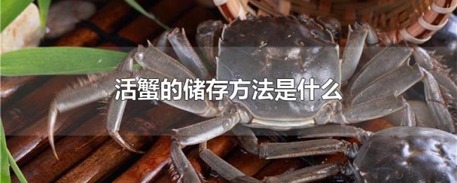 活蟹的储存方法是什么 活蟹的储存方法是什么