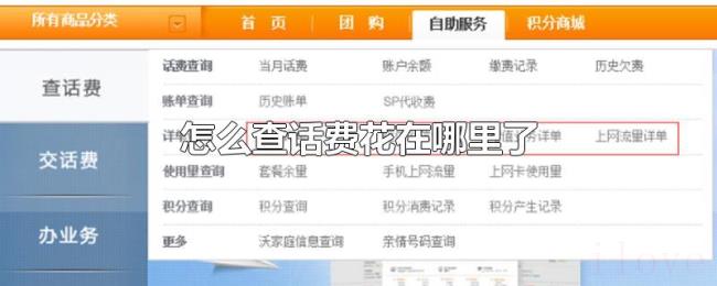 怎么查话费花在哪里了