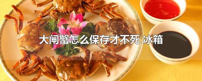 大闸蟹怎么保存才不死（冰箱）