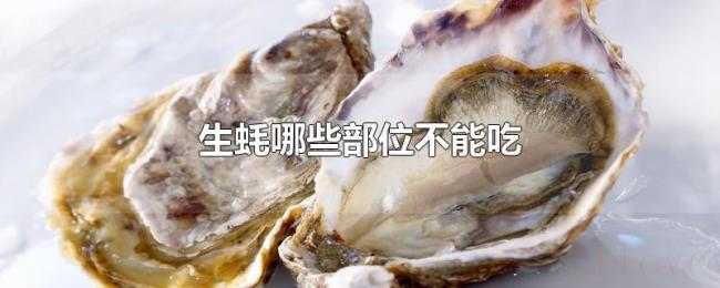 生蚝哪些部位不能吃 生蚝哪些部位不能吃