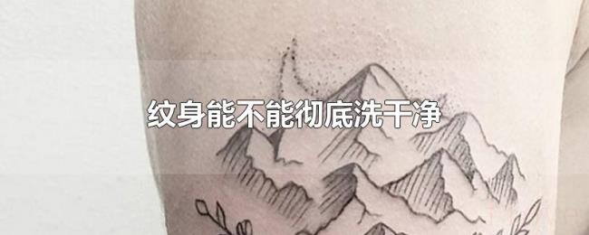 纹身能不能彻底洗干净
