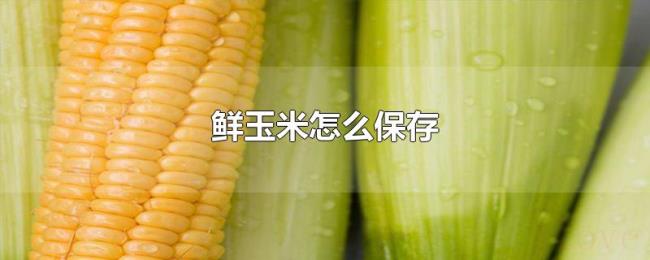 鲜玉米怎么保存