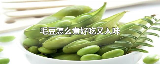 毛豆怎么煮好吃又入味 毛豆怎么煮好吃又入味