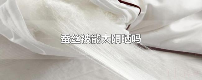 蚕丝被能太阳晒吗