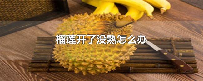 榴莲开了没熟怎么办