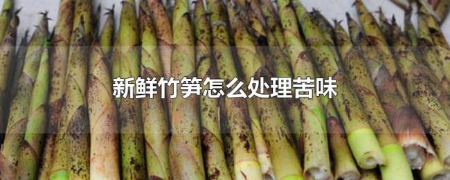 新鲜竹笋怎么处理苦味 新鲜竹笋怎么处理苦味
