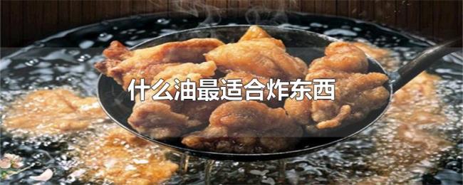 什么油最适合炸东西 什么油最适合炸东西
