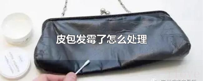 皮包发霉了怎么处理 皮包发霉了怎么处理