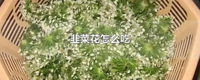 韭菜花怎么吃 韭菜花怎么吃