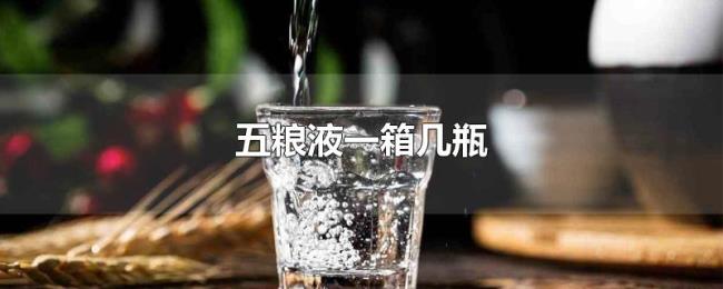 五粮液一箱几瓶 五粮液一箱几瓶