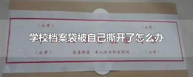 学校档案袋被自己撕开了怎么办