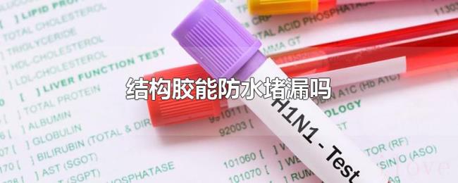 结构胶能防水堵漏吗 结构胶能防水堵漏吗