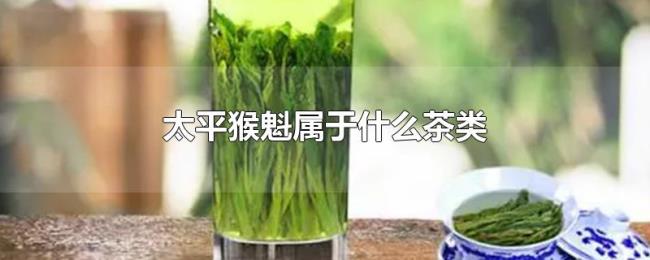 太平猴魁属于什么茶类 太平猴魁属于什么茶类