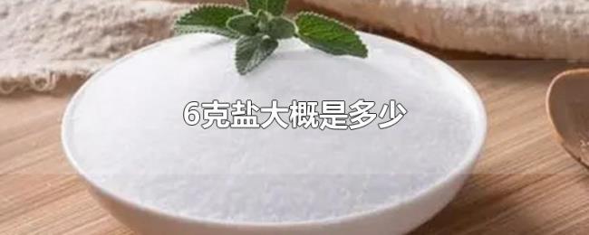6克盐大概是多少 6克盐大概是多少