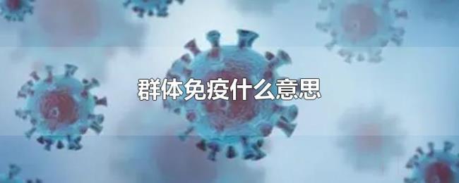 群体免疫什么意思 群体免疫什么意思