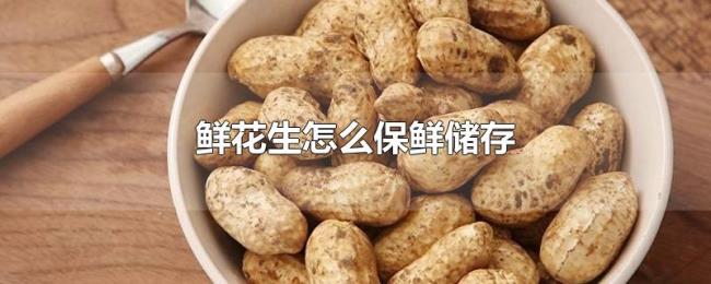 鲜花生怎么保鲜储存 鲜花生怎么保鲜储存