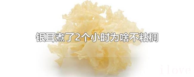 银耳煮了2个小时为啥不粘稠